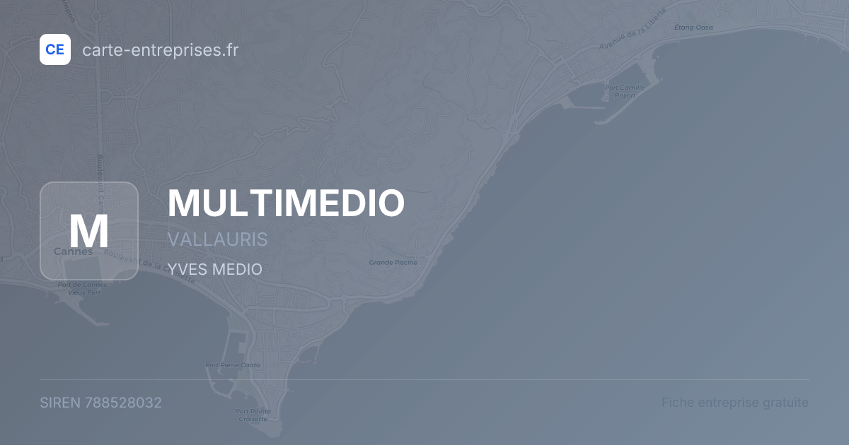 MULTIMEDIO — 788528032 — fiche entreprise