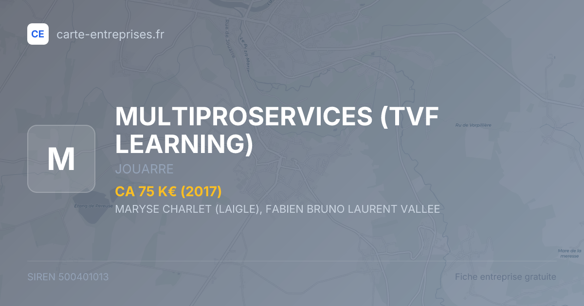 MULTIPROSERVICES (TVF LEARNING) — 500401013 — fiche entreprise