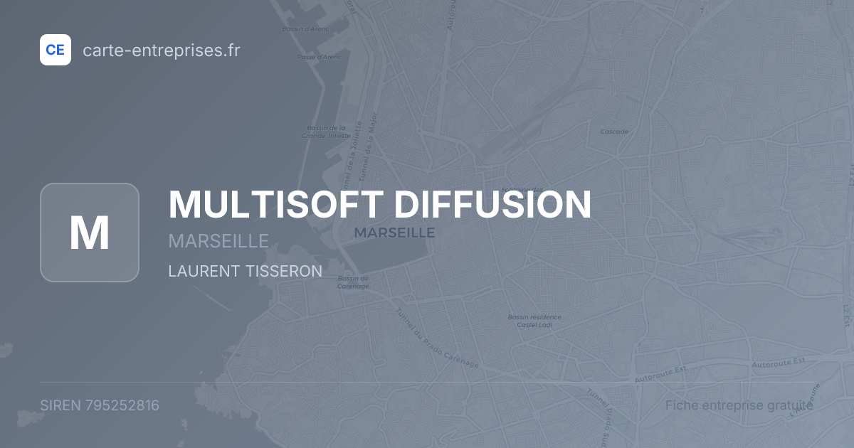 MULTISOFT DIFFUSION — 795252816 — fiche entreprise