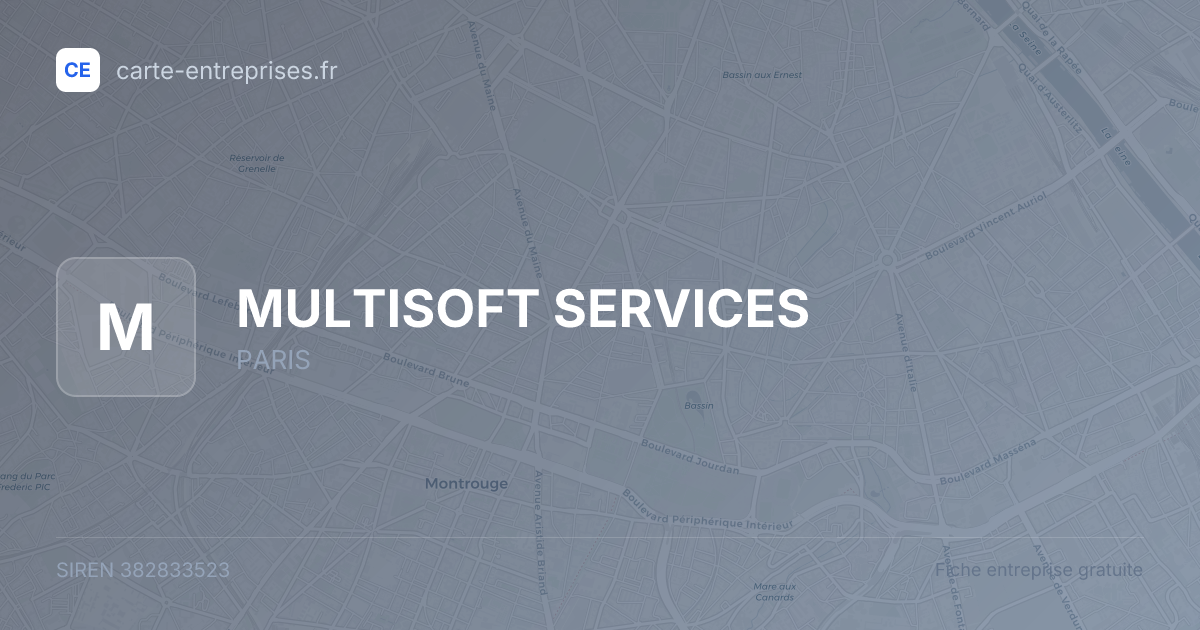 MULTISOFT SERVICES — 382833523 — fiche entreprise