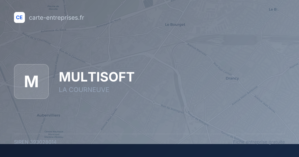 MULTISOFT — 393028014 — fiche entreprise