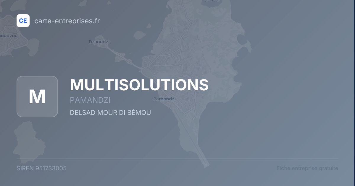 MULTISOLUTIONS — 951733005 — fiche entreprise