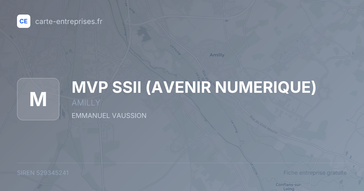 MVP SSII (AVENIR NUMERIQUE) — 529345241 — fiche entreprise