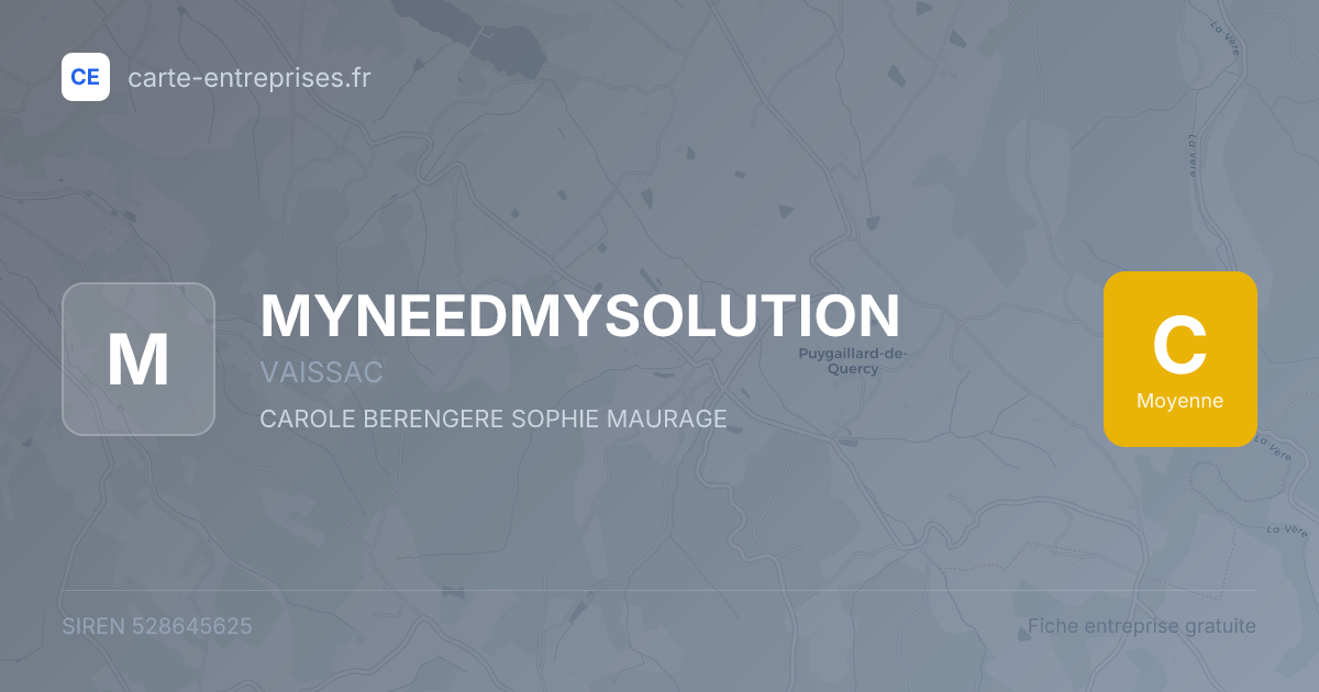 MYNEEDMYSOLUTION — 528645625 — fiche entreprise