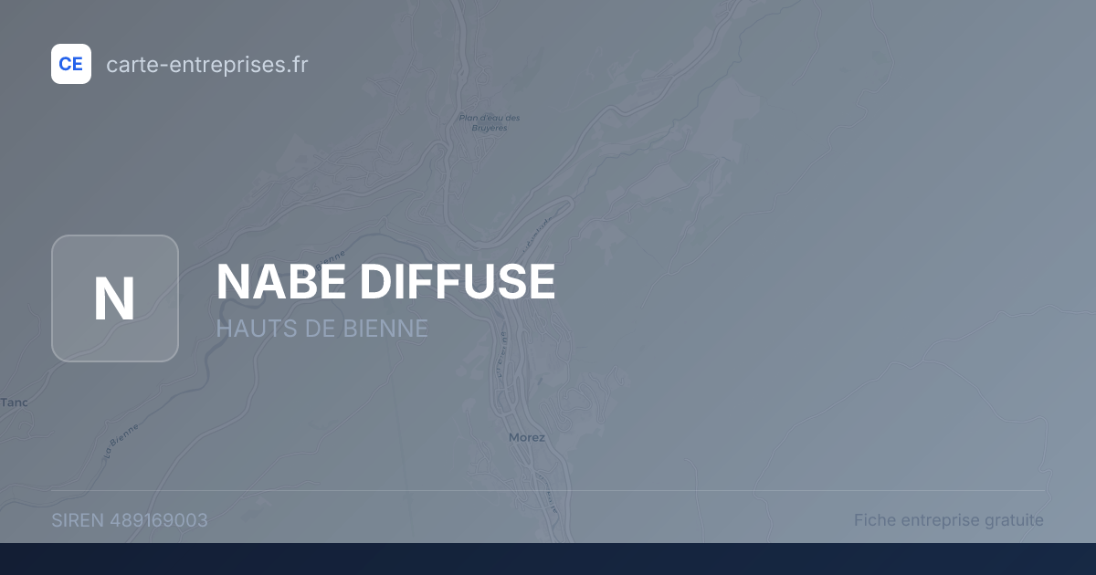 NABE DIFFUSE — 489169003 — fiche entreprise