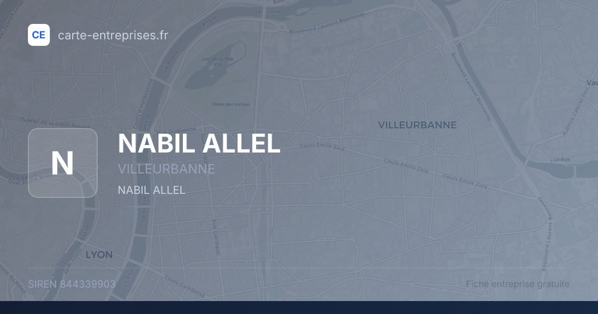 NABIL ALLEL — 844339903 — fiche entreprise