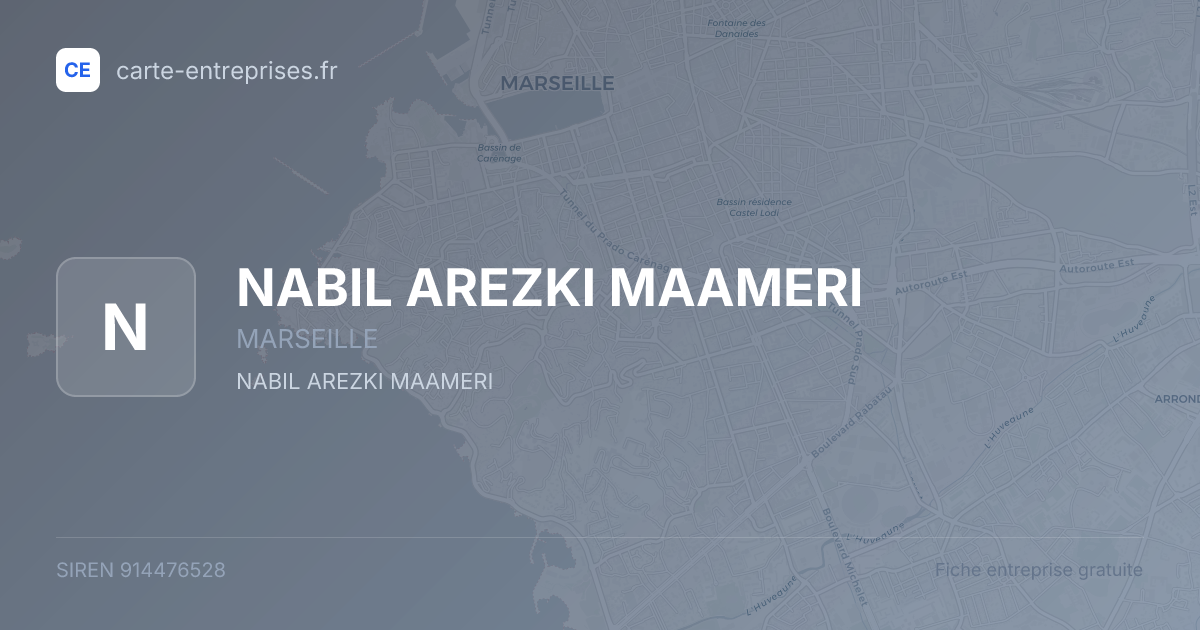 NABIL AREZKI MAAMERI — 914476528 — fiche entreprise