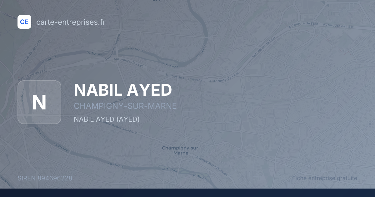 NABIL AYED — 894696228 — fiche entreprise