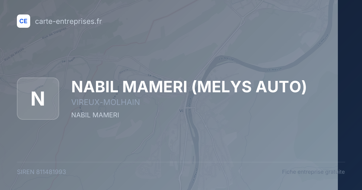 NABIL MAMERI (MELYS AUTO) — 811481993 — fiche entreprise