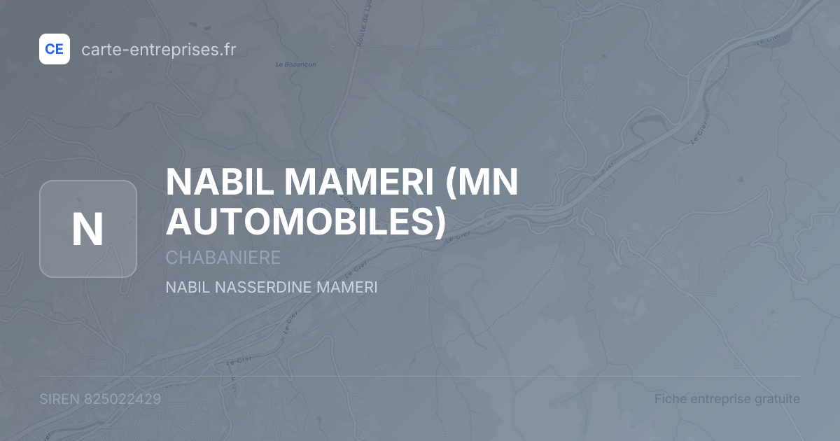 NABIL MAMERI (MN AUTOMOBILES) — 825022429 — fiche entreprise