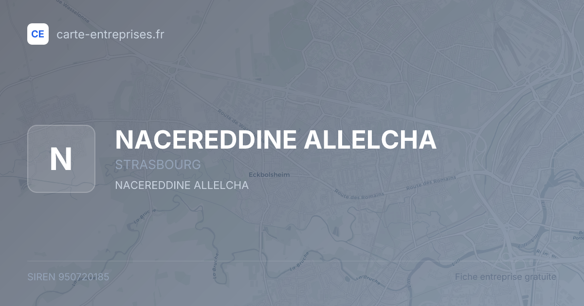 NACEREDDINE ALLELCHA — 950720185 — fiche entreprise
