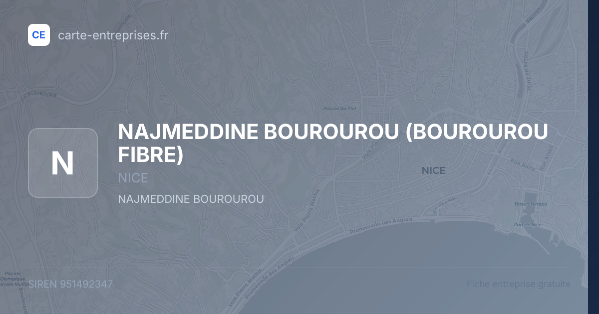 NAJMEDDINE BOUROUROU (BOUROUROU FIBRE) — 951492347 — fiche entreprise