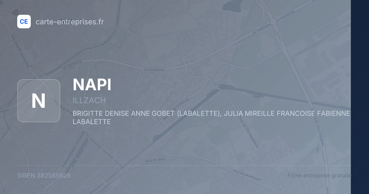 NAPI — 382585628 — fiche entreprise