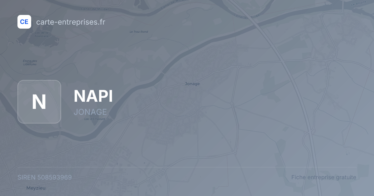 NAPI — 508593969 — fiche entreprise