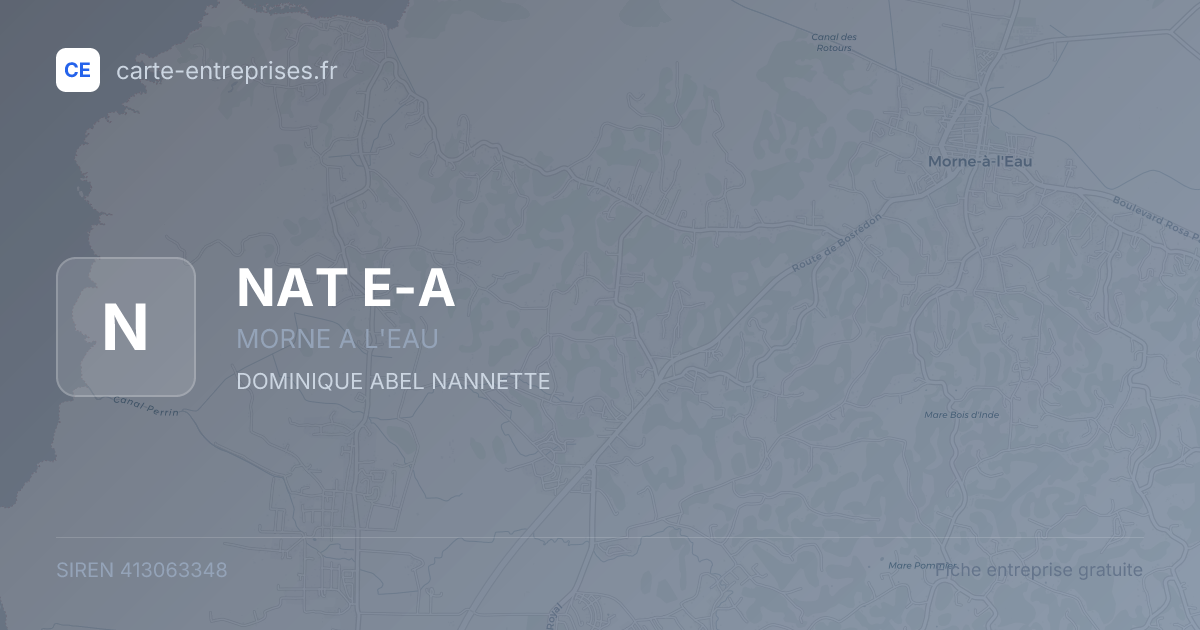 NAT E-A — 413063348 — fiche entreprise