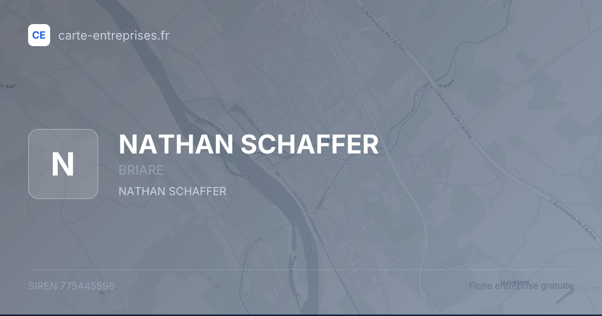 NATHAN SCHAFFER — 775445596 — fiche entreprise