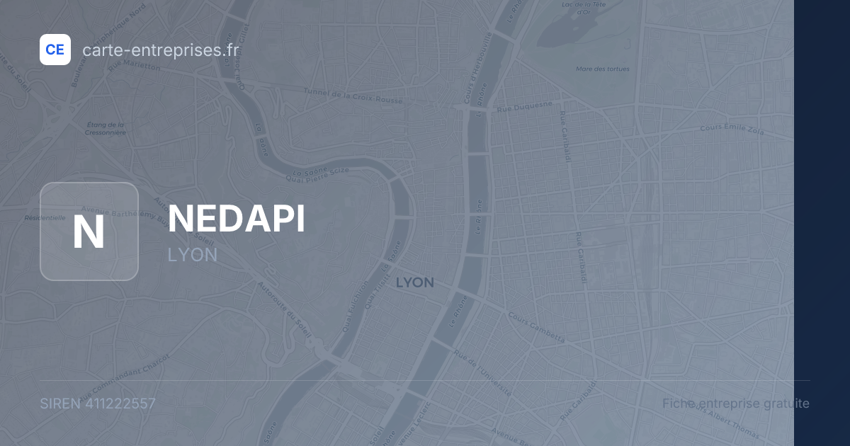 NEDAPI — 411222557 — fiche entreprise