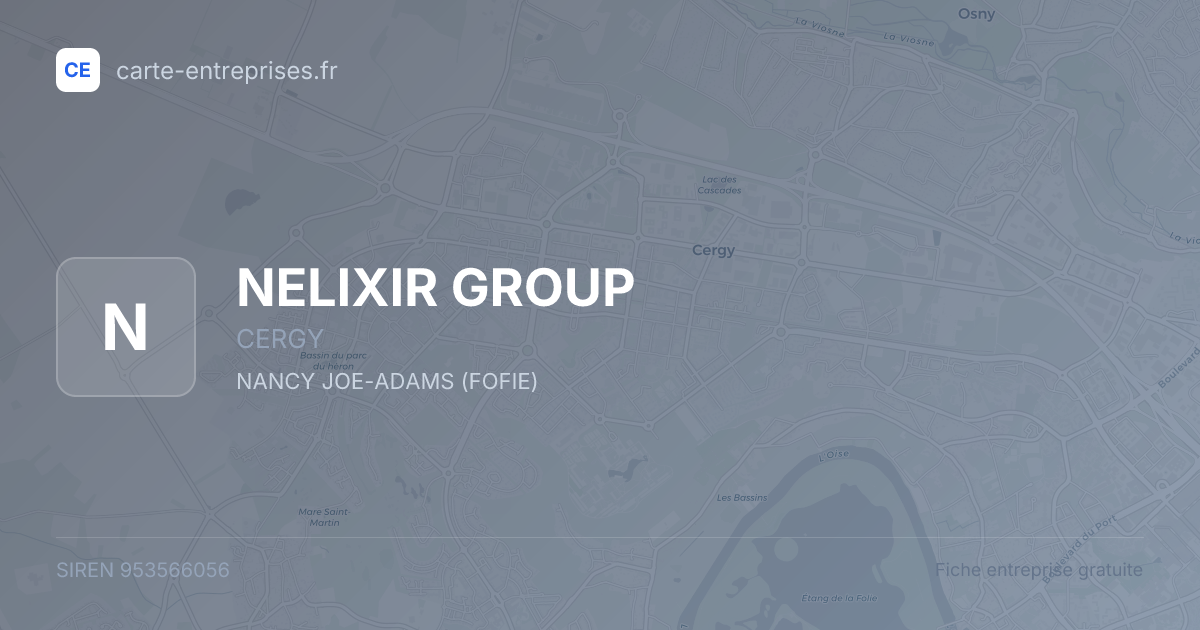 NELIXIR GROUP — 953566056 — fiche entreprise