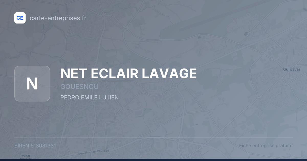 NET ECLAIR LAVAGE — 513081331 — fiche entreprise