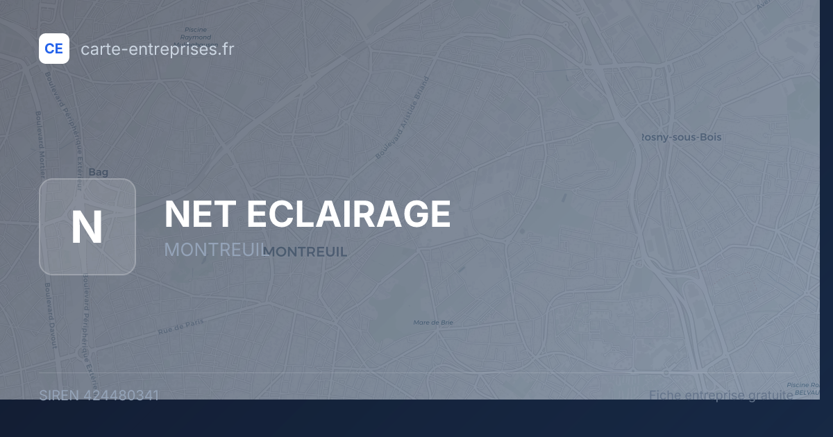 NET ECLAIRAGE — 424480341 — fiche entreprise