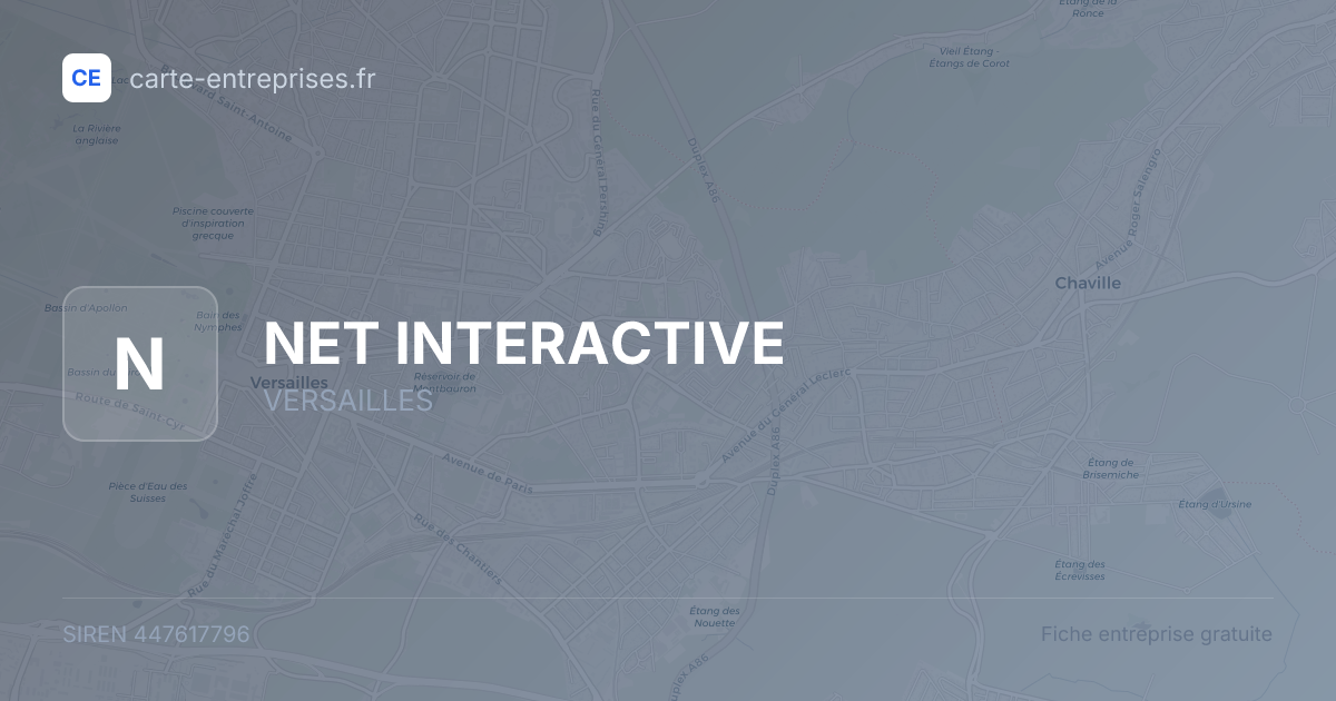 NET INTERACTIVE — 447617796 — fiche entreprise