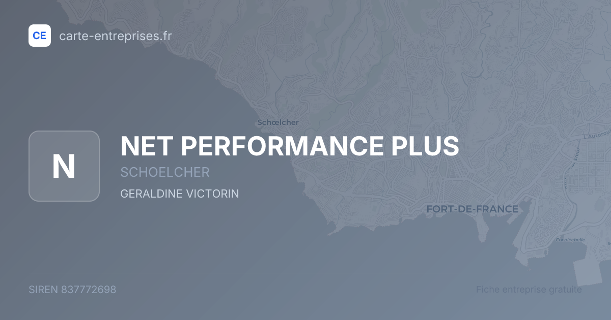 NET PERFORMANCE PLUS — 837772698 — fiche entreprise