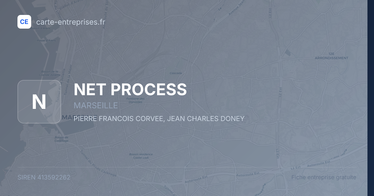 NET PROCESS — 413592262 — fiche entreprise