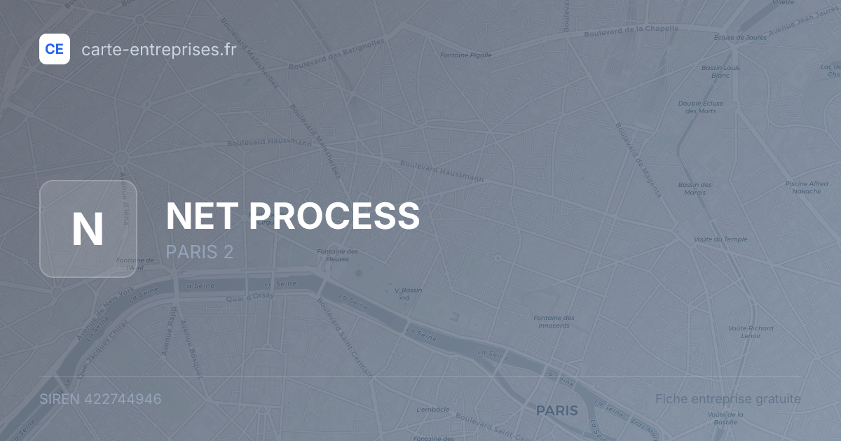 NET PROCESS — 422744946 — fiche entreprise