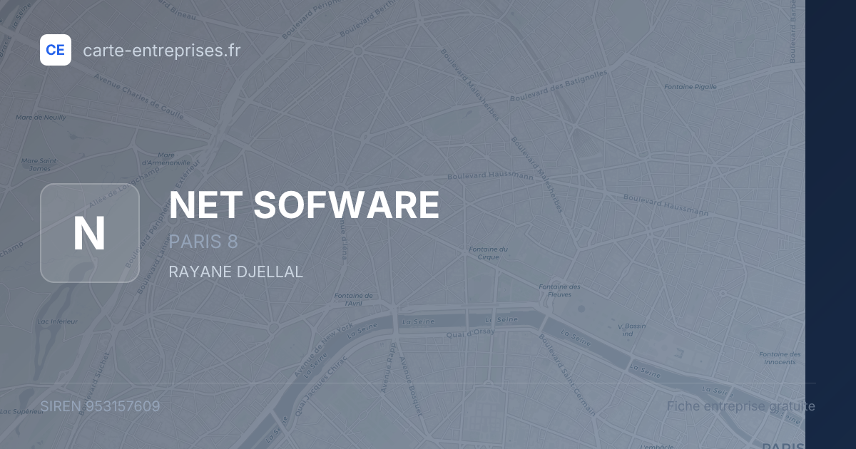 NET SOFWARE — 953157609 — fiche entreprise