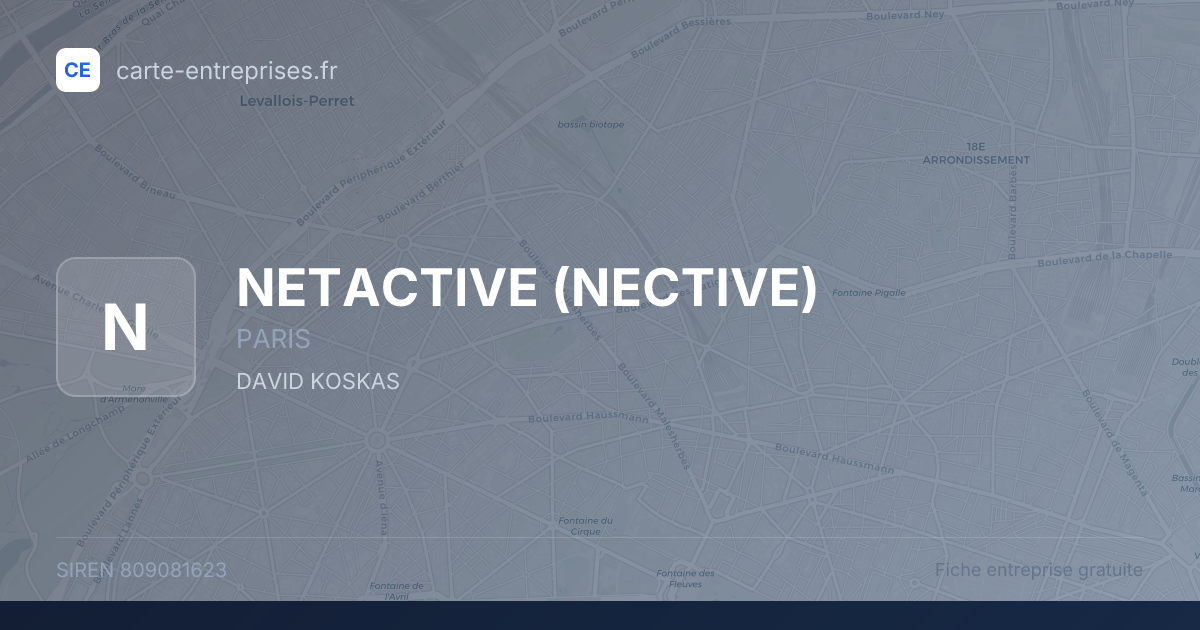 NETACTIVE (NECTIVE) — 809081623 — fiche entreprise
