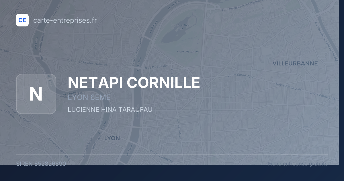 NETAPI CORNILLE — 852826890 — fiche entreprise