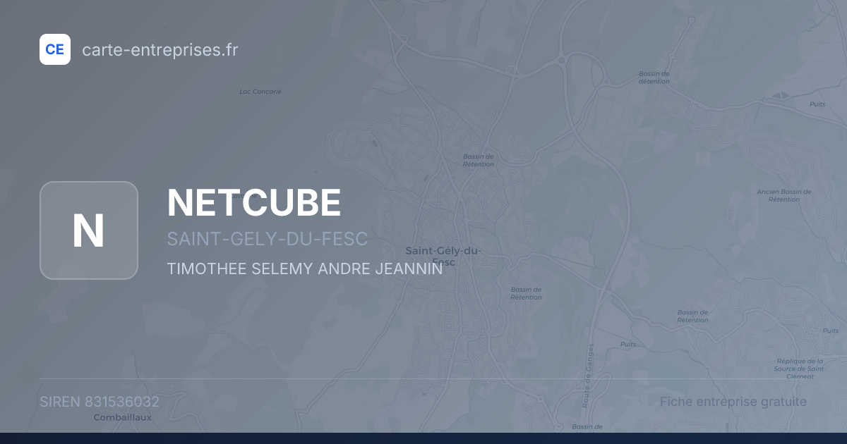NETCUBE — 831536032 — fiche entreprise