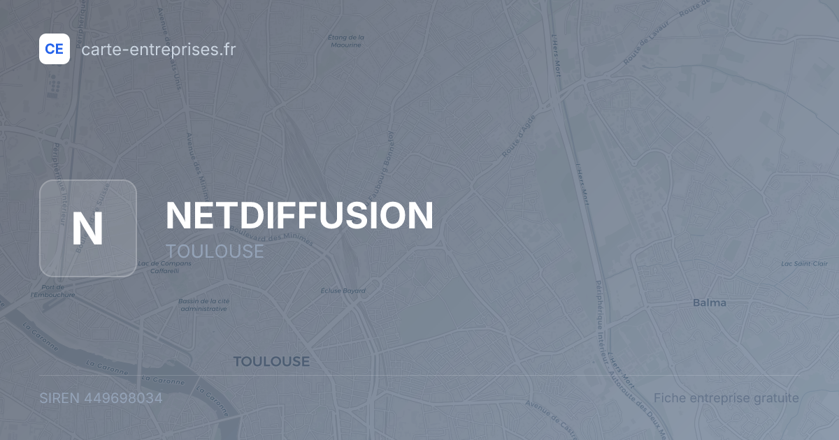NETDIFFUSION — 449698034 — fiche entreprise