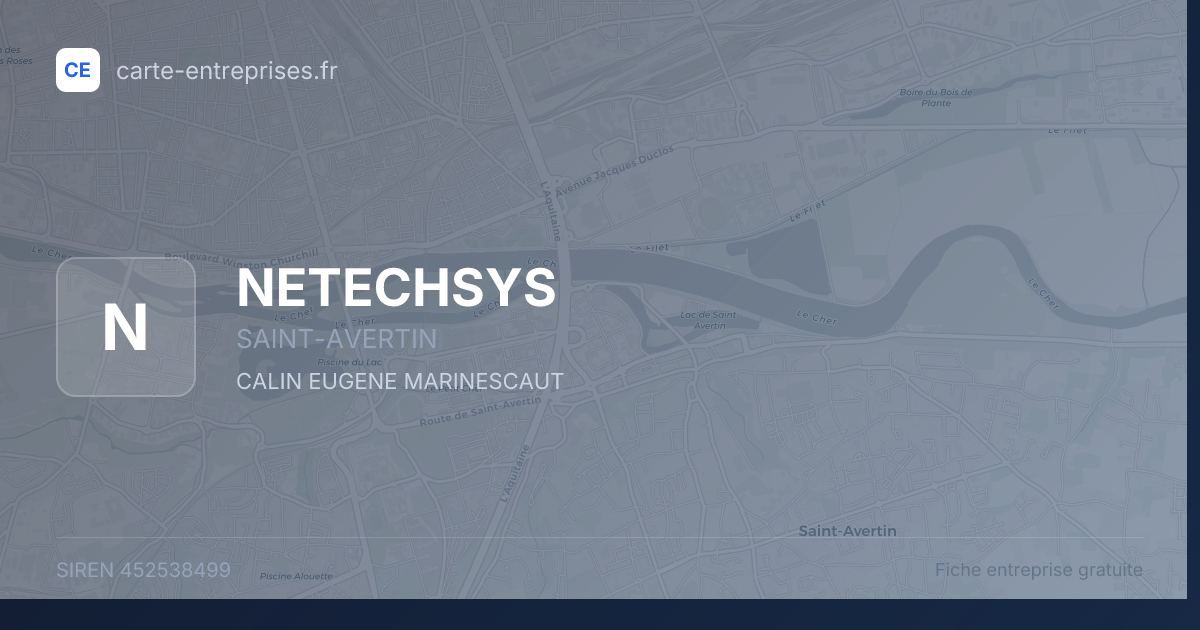 NETECHSYS — 452538499 — fiche entreprise