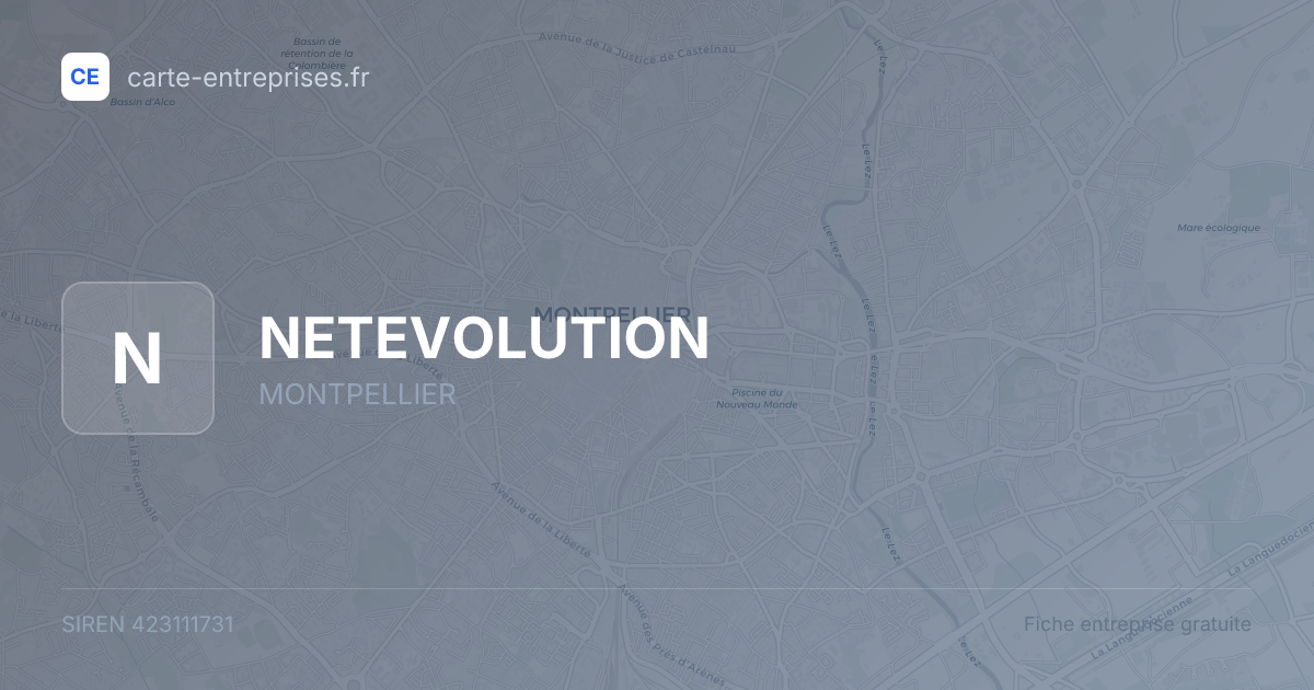 NETEVOLUTION — 423111731 — fiche entreprise