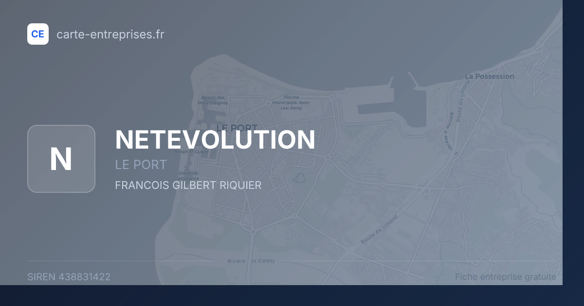 NETEVOLUTION — 438831422 — fiche entreprise