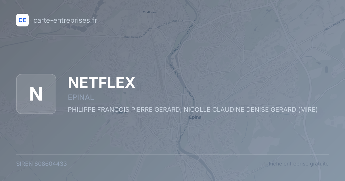 NETFLEX — 808604433 — fiche entreprise