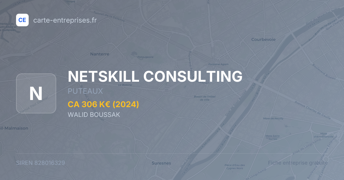 NETSKILL CONSULTING — 828016329 — fiche entreprise