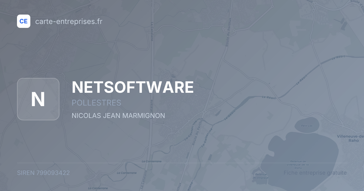 NETSOFTWARE — 799093422 — fiche entreprise