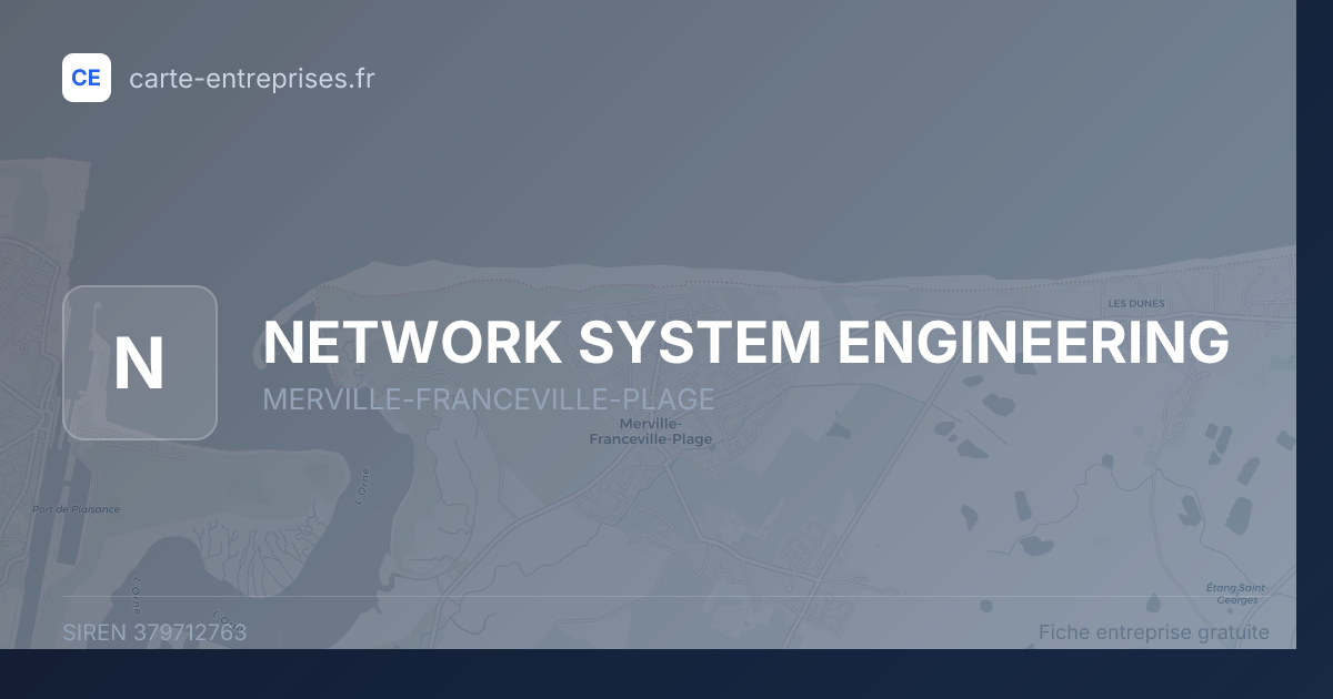 NETWORK SYSTEM ENGINEERING — 379712763 — fiche entreprise