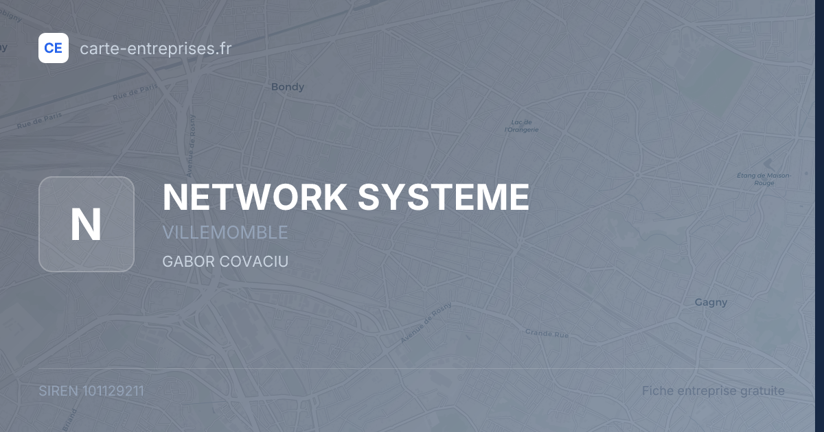 NETWORK SYSTEME — 101129211 — fiche entreprise