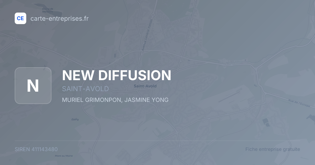 NEW DIFFUSION — 411143480 — fiche entreprise