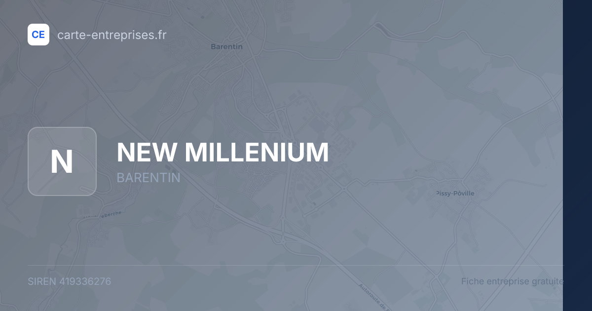 NEW MILLENIUM — 419336276 — fiche entreprise
