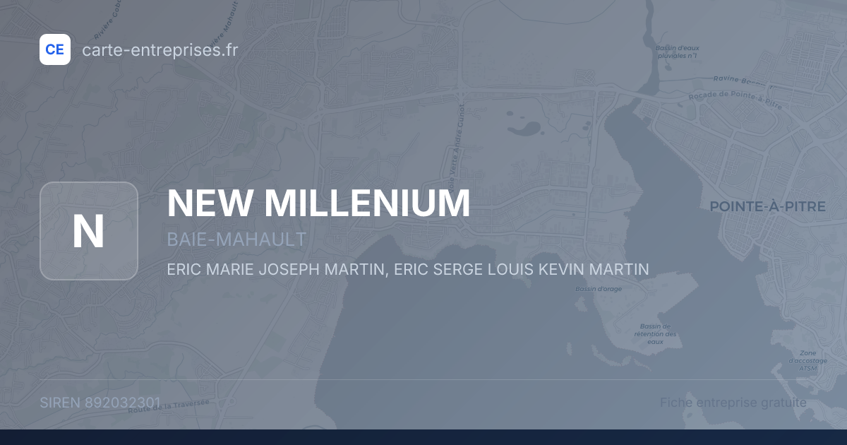 NEW MILLENIUM — 892032301 — fiche entreprise