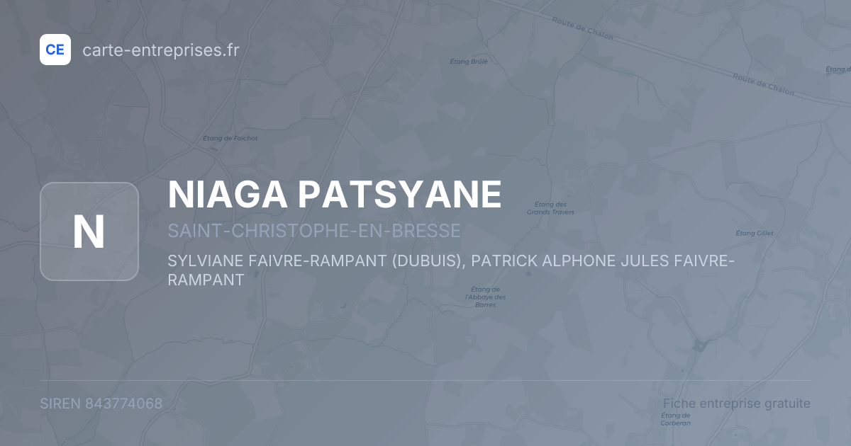 NIAGA PATSYANE — 843774068 — fiche entreprise