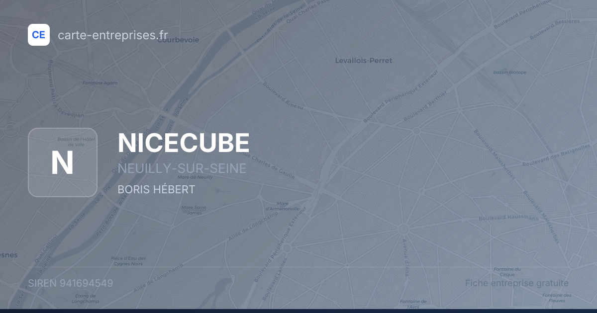NICECUBE — 941694549 — fiche entreprise