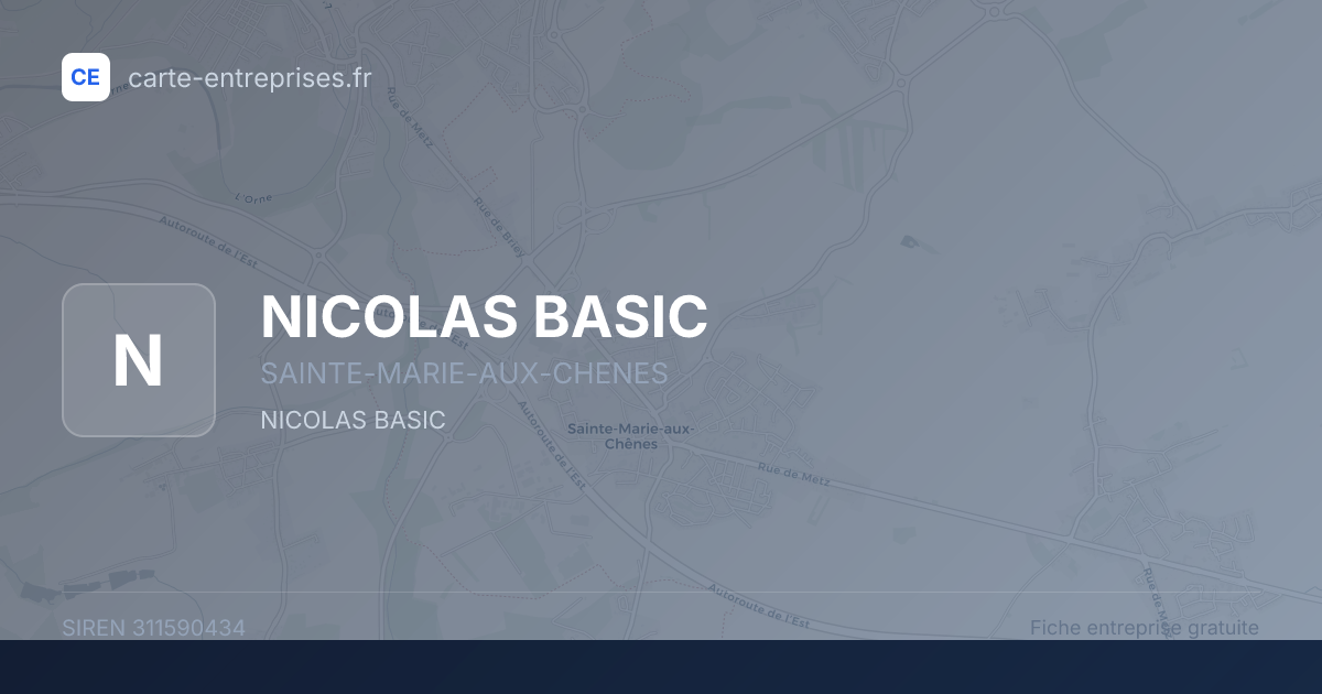NICOLAS BASIC — 311590434 — fiche entreprise