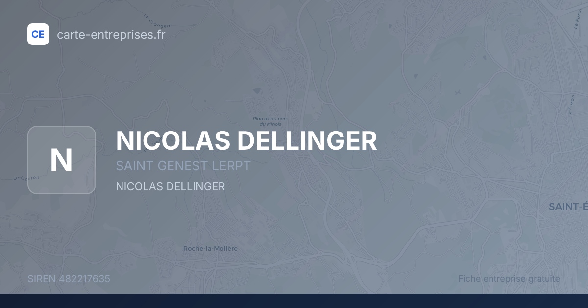 NICOLAS DELLINGER — 482217635 — fiche entreprise