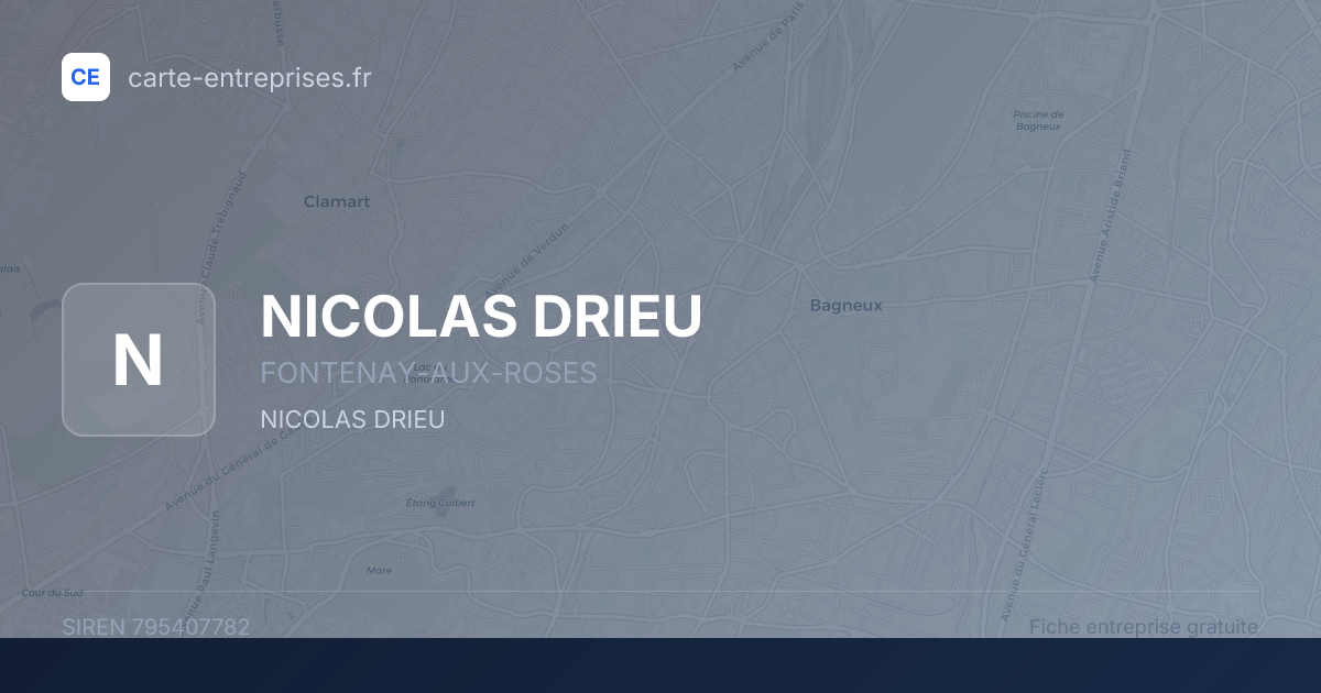 NICOLAS DRIEU — 795407782 — fiche entreprise