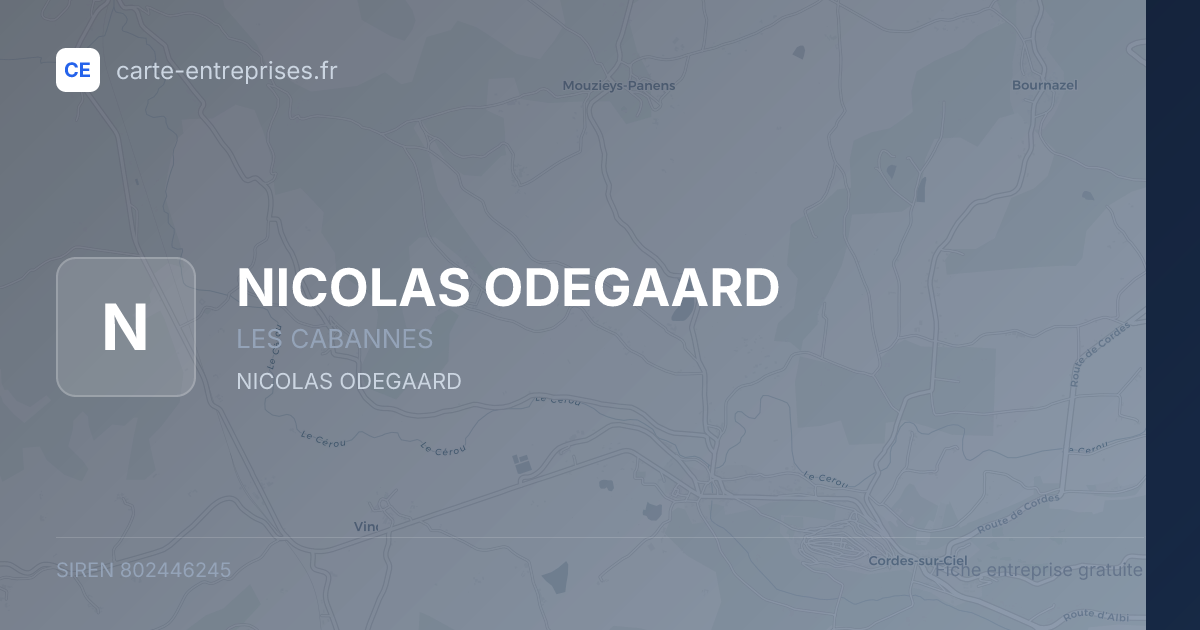 NICOLAS ODEGAARD — 802446245 — fiche entreprise